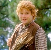 Samwise Gamgee